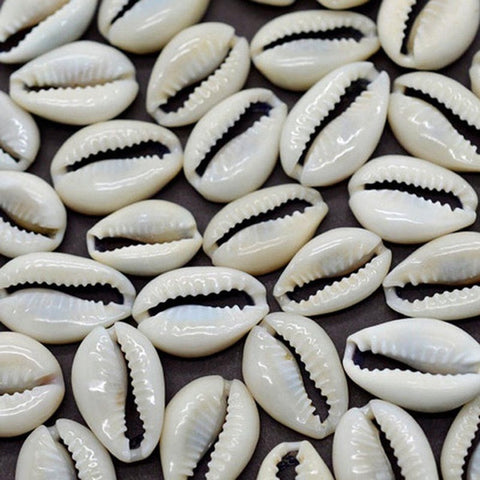 50pcs 1.5/2cm Small Bulk Cut Beach Sea Natural Shell Conch Beads Cowry Cowrie Jewelery Craft Accessories Holes DIY