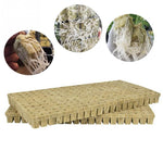 50/100pcs a sheet Soilles Plantin Sponge planting grow Grodan Starter Cubes rockwool media Spread Cloning Rock wool Cubes