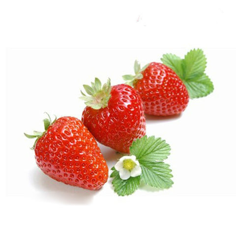 100pcs Strawberry Seeds Sower Delicious Fruit Grow Seedling Garden Supplies